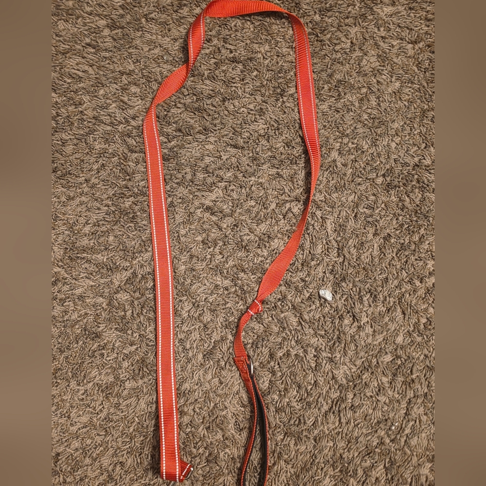 Red Dog Leash Size Meduim Pre Owned Good Condition
